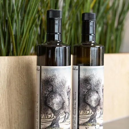 Casa Fani With Beautiful Seaview Villa